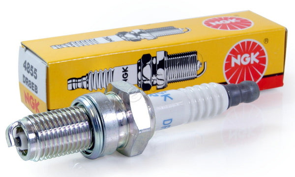 851 WeMoto NGK Sparkplug