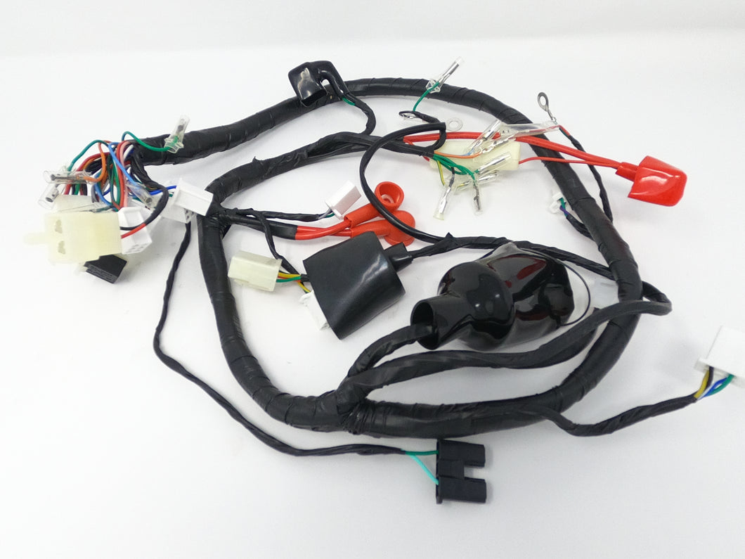 Venom X20 125cc Motorcycle | Wiring Harness (08010145)