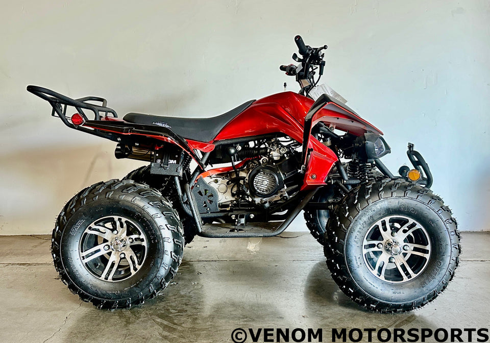 Viper 200cc Full-Size Adult ATV Automatic + Reverse