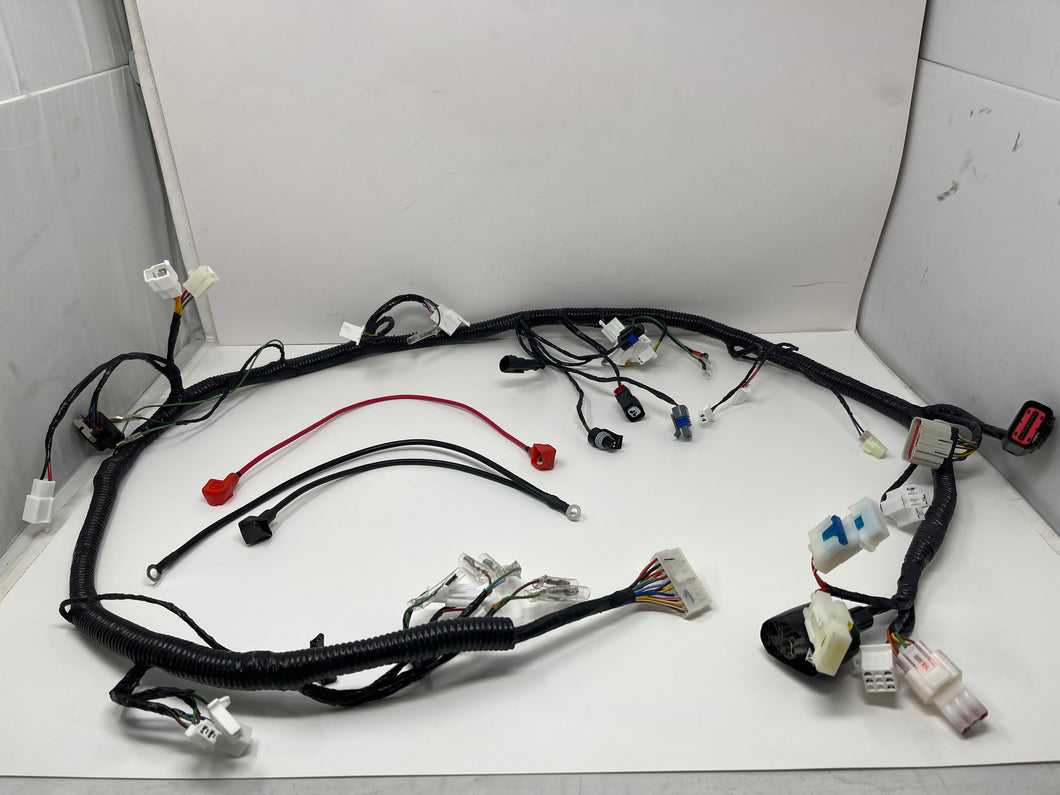 X22R MAX 250cc Motorcycle | Wiring Harness (H6-70122)