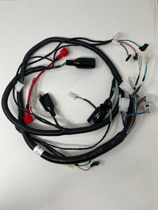 X22R 250cc | Wiring Harness (08010102)