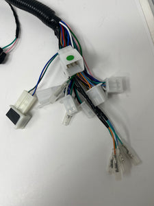 X22R 250cc | Wiring Harness (08010102)