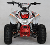 Venom Racing Madix 125cc ATV | Automatic Transmission + Reverse