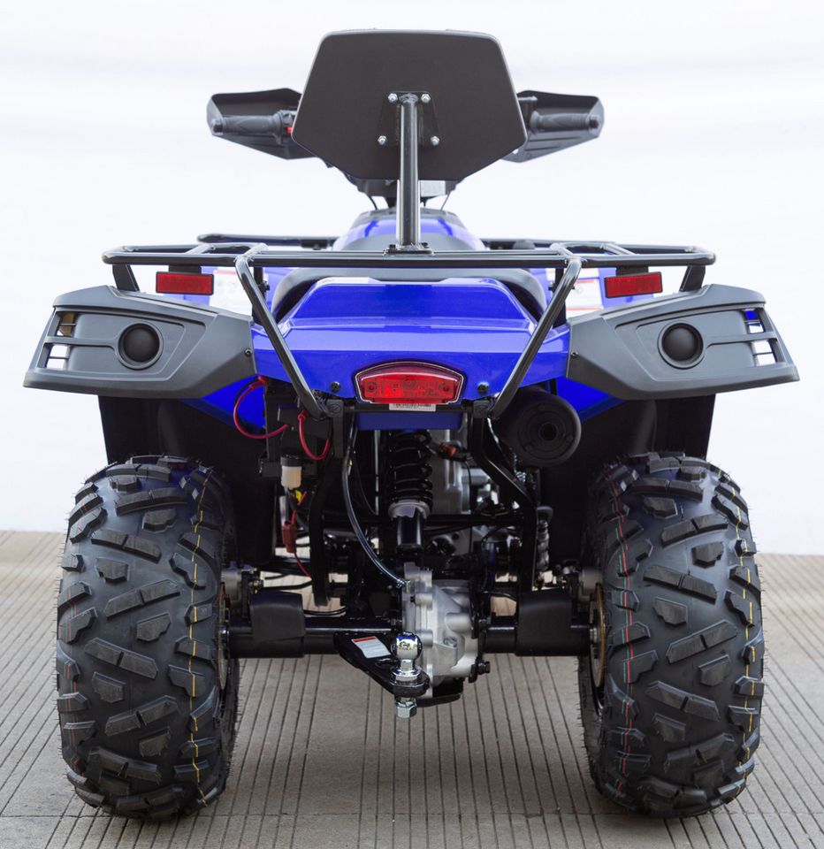 Predator 300cc ATV 4x4 | Full-Size Adult ATV | Automatic Transmission