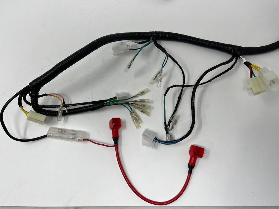 Sportster 250cc Chopper | Wiring Harness (08010137)