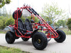 200cc Venom Spider Go-Kart | 2 Seater | Automatic + Reverse