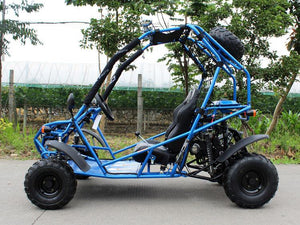 DF125GKA go kart for sale teenager DF125GKA