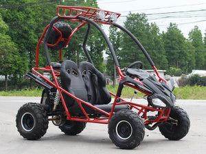 Venom Falcon 110cc Go Kart | DF125GKS | Automatic