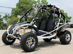 Venom Captain Go Kart | 2-Seater | 200cc | Automatic + Reverse