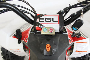 EGL MADIX 125 dash view