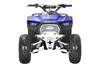 Venom Lander 125cc ATV | Fully Automatic + Reverse | XD-125UF