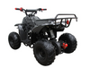 Rex 110cc ATV | 4-Stroke Automatic Transmission