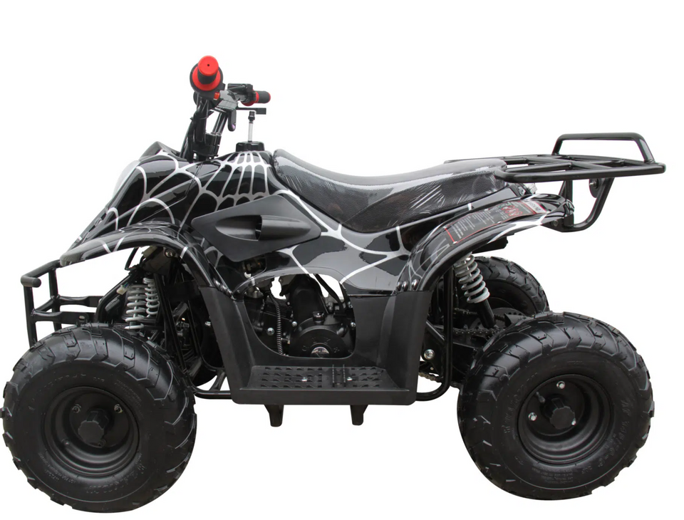 Rex 110cc ATV | 4-Stroke Automatic Transmission