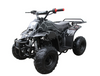 110cc Rex AATV or kids for sale. Mototec usa Kids gas quads for cheap