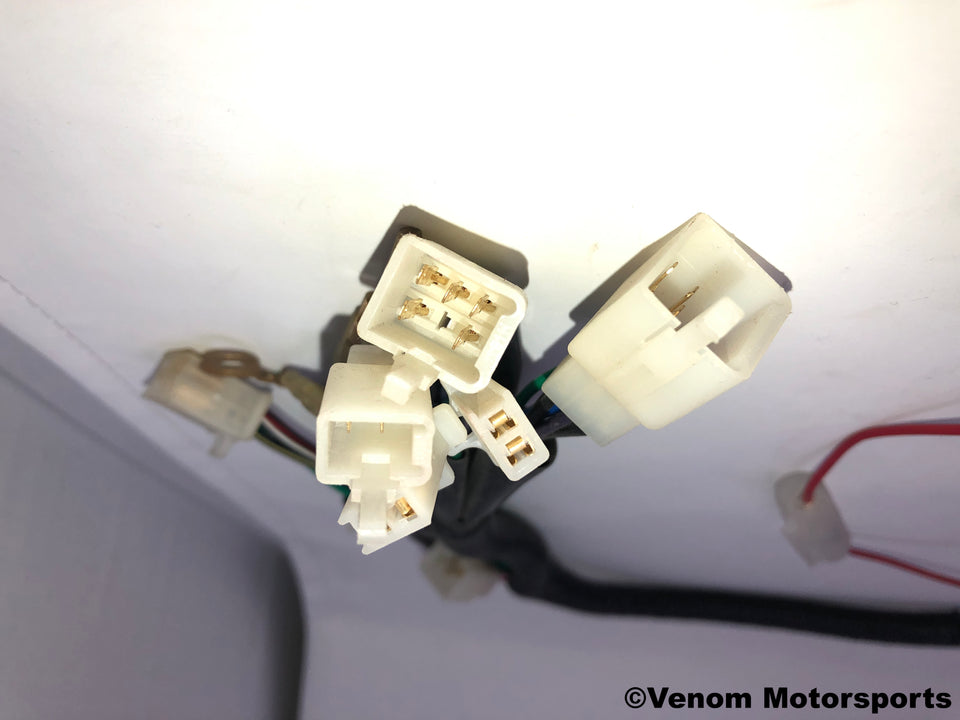 Replacement Wiring Harness | Venom 50cc Fatboy