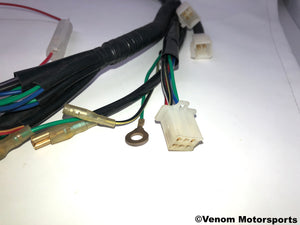 Replacement Wiring Harness | Venom 50cc Fatboy