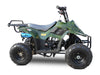 Rex 110cc ATV | 4-Stroke Automatic Transmission