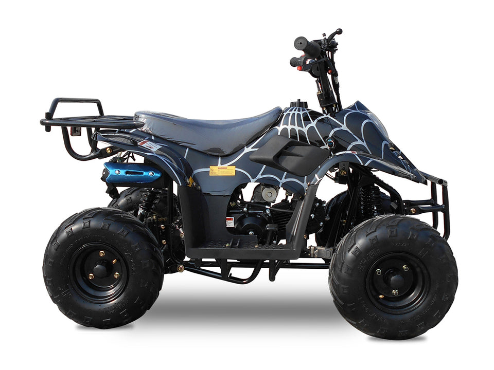 Rex 110cc ATV | 4-Stroke Automatic Transmission