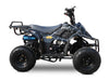 Rex 110cc ATV | 4-Stroke Automatic Transmission