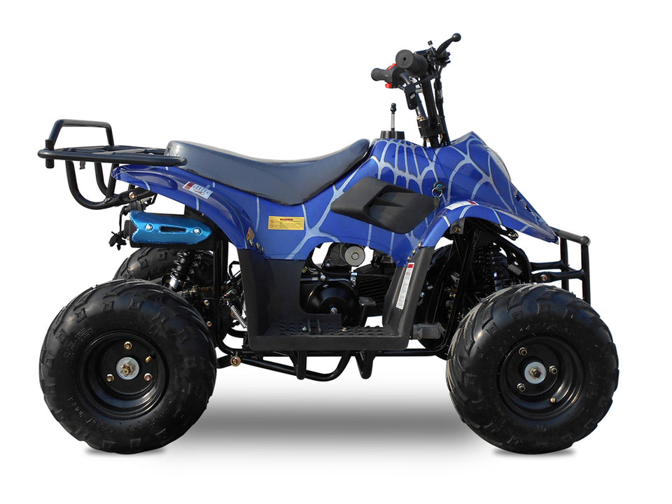 Rex 110cc ATV | 4-Stroke Automatic Transmission